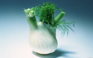 深入理解多维分析：底层机制一探究竟